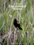 Hanna et al 2011 cover photo