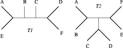 Two Evolutionary Trees