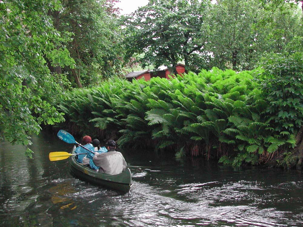 Spreewald10