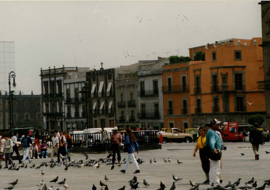 zocalo3