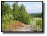 [DCP_1355.JPG]