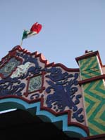 DSCN4446