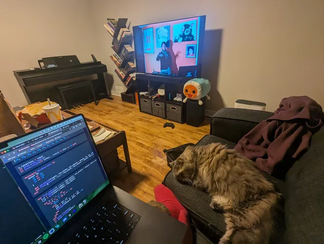 me in dans living room, on a couch, maria dans cat sleeping next to me, tv is on showing a japanese dj infront of a mixing booth, mcdonalds is on the table